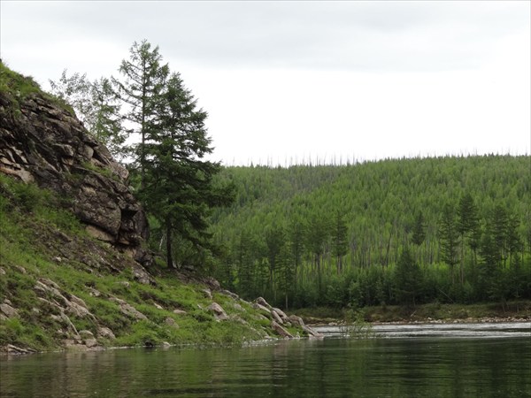 Конда Витим 216